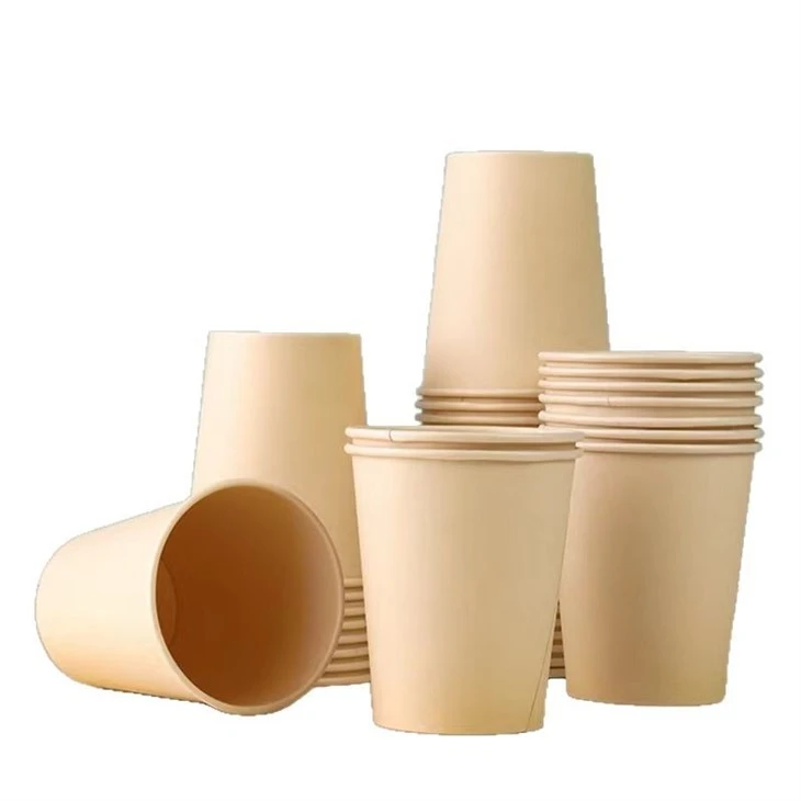 Sustainable Paper Cup Sustainable Paper Cup